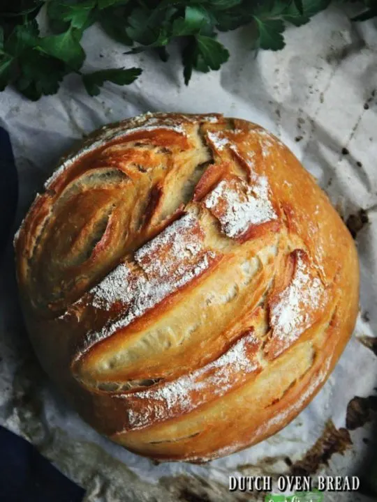 Dutch Oven Bread Bread