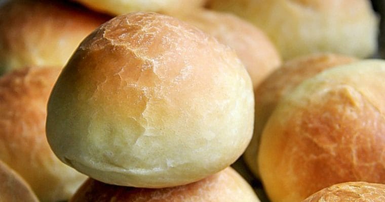 Homemade Dinner Rolls