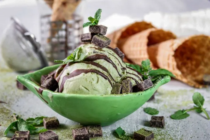 Matcha Ice Cream with Dark Chocolate